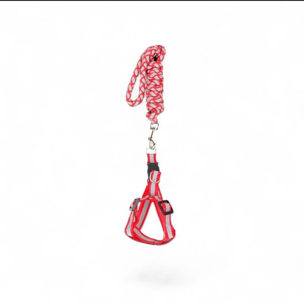 Braided Night Light Leash (Large)
