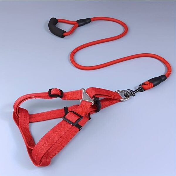 AD Spring Leash (Large)