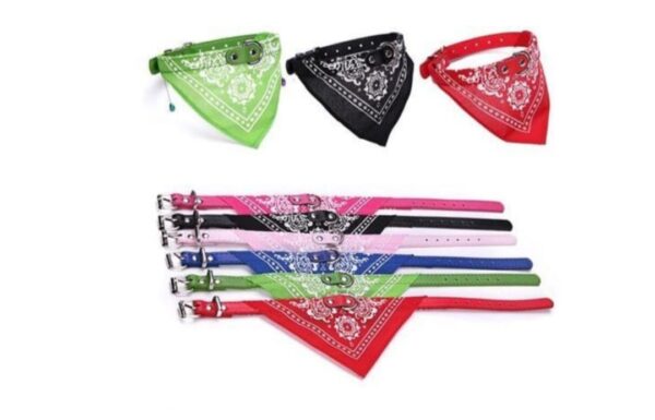 dog collar leather with volare med
