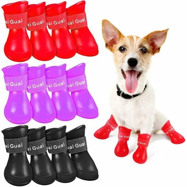 x-Large Shoes