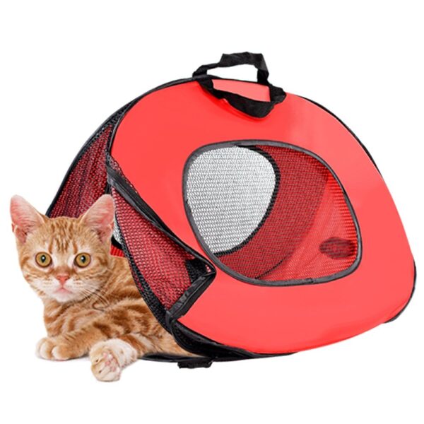 pop open cat carrier
