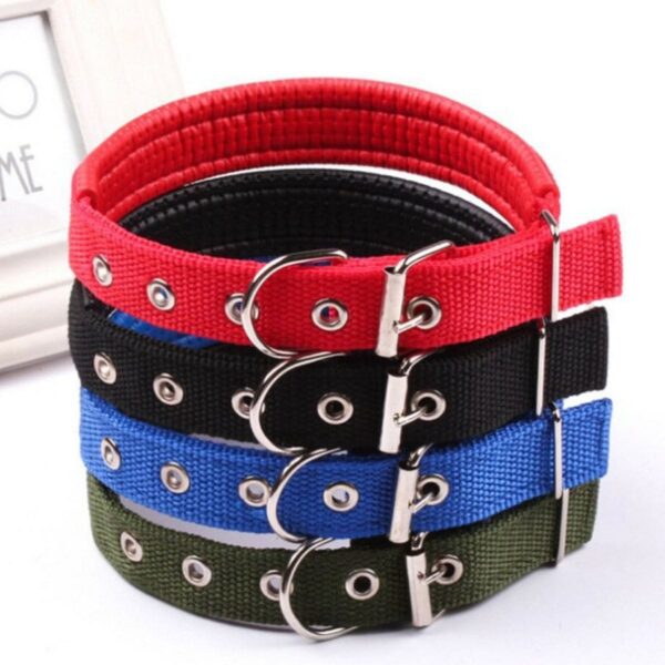 NB Collar (Small)
