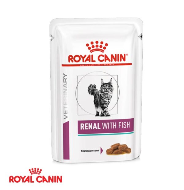 RCA Renal with fish Feline wet 85g